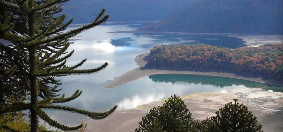 Araucanía Andina: Temuco and its surroundings
