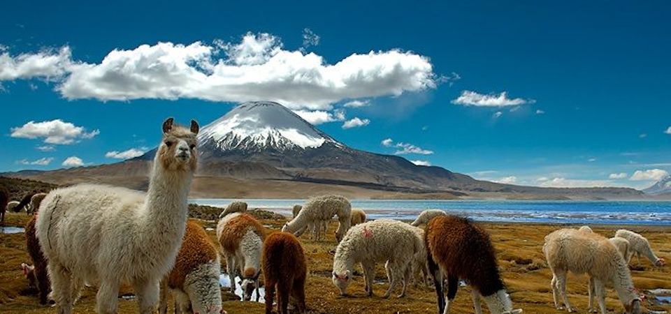 Descubre Chile desde las alturas