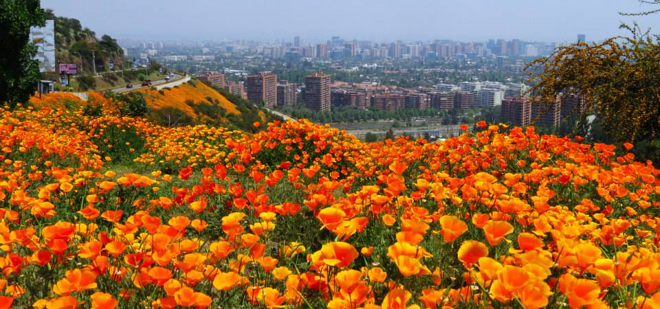 Parques de Chile en Primavera, Parte 2
