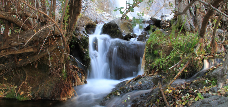 5 lugares donde disfrutar de la primavera en Chile