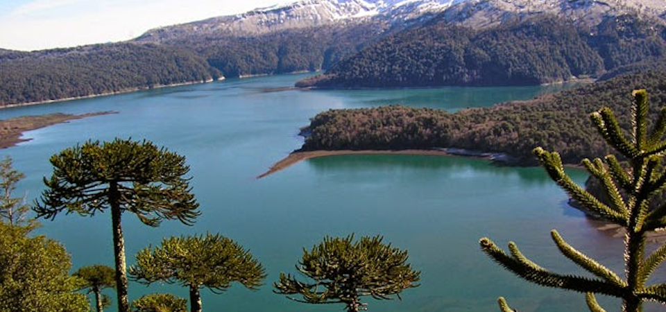 Conguillío National Park: Land of Dinosaurs in Chile