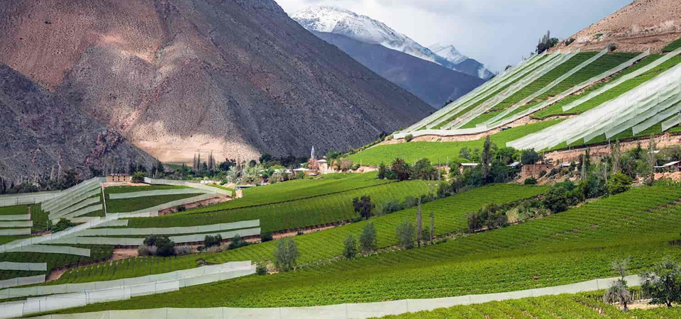 DISCOVER THE MAIN WINE VALLEYS OF CHILE