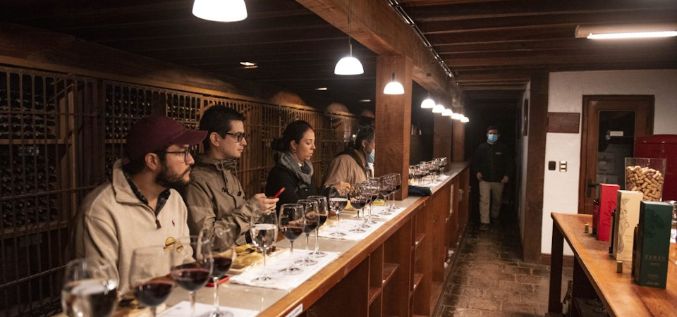 Rutas del vino en Chile: mejores viñas en cada región
