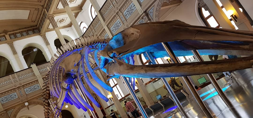 Recorre Chile en invierno: panoramas y actividades indoor