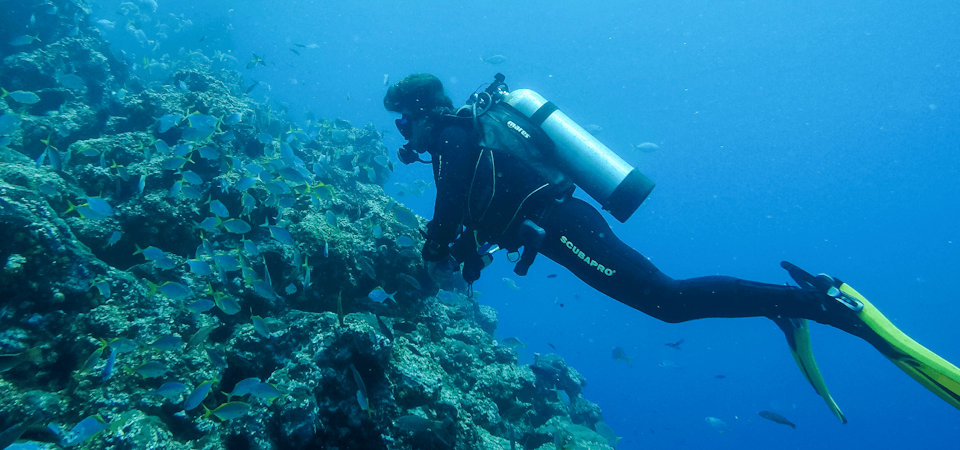 Buceo en Chile: lugares, precios y consejos útiles