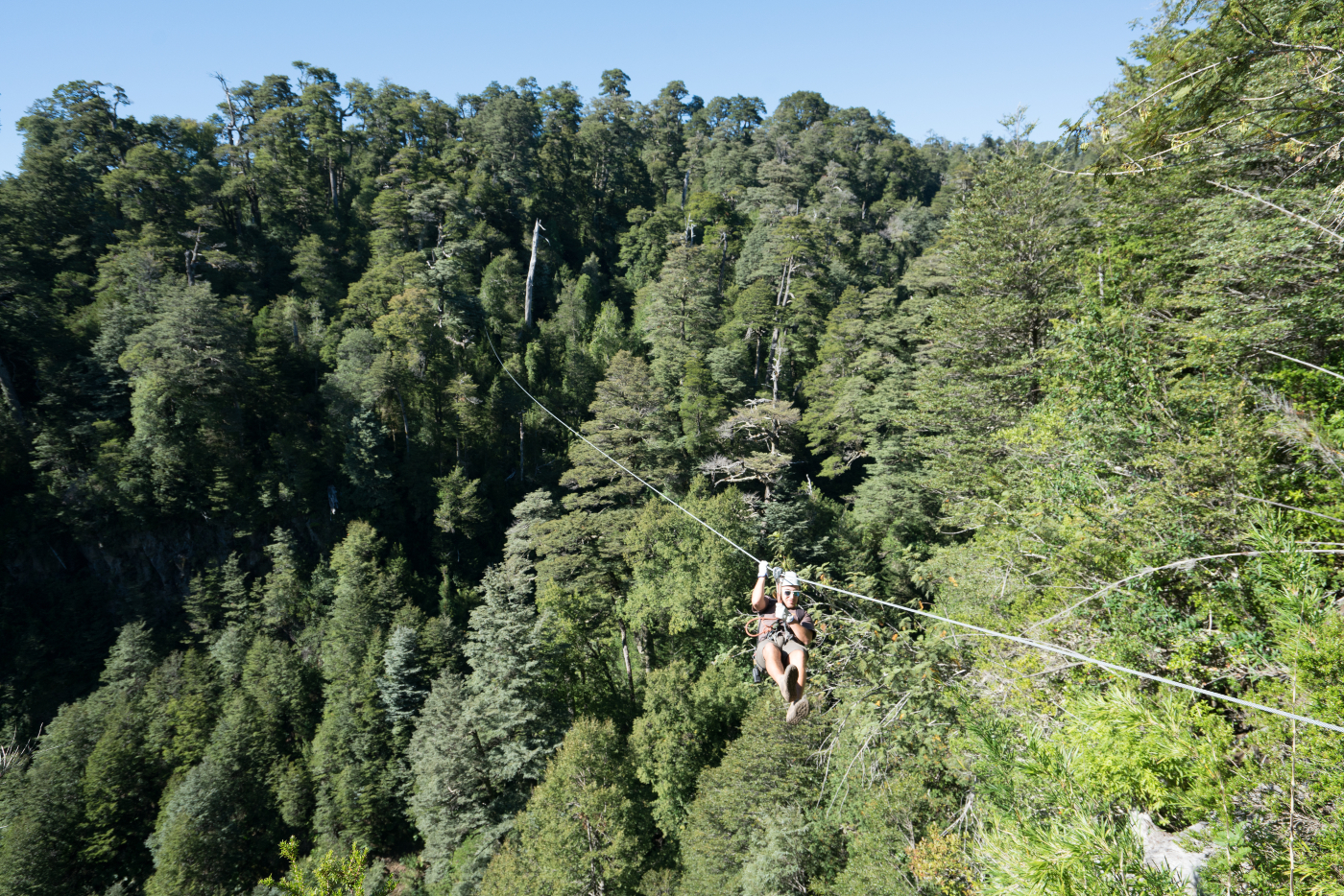 Mejores lugares para practicar Canopy en el Sur de Chile