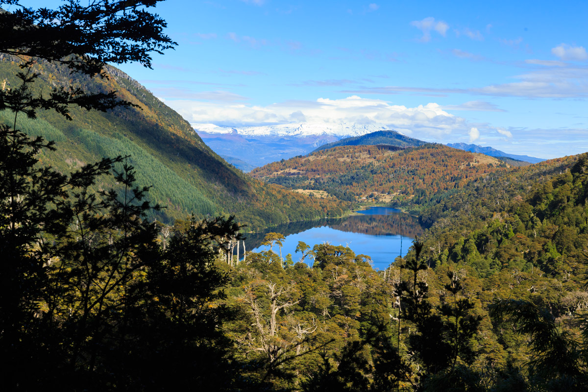 Panorama in Pucón: trekking in Huerquehue National Park
