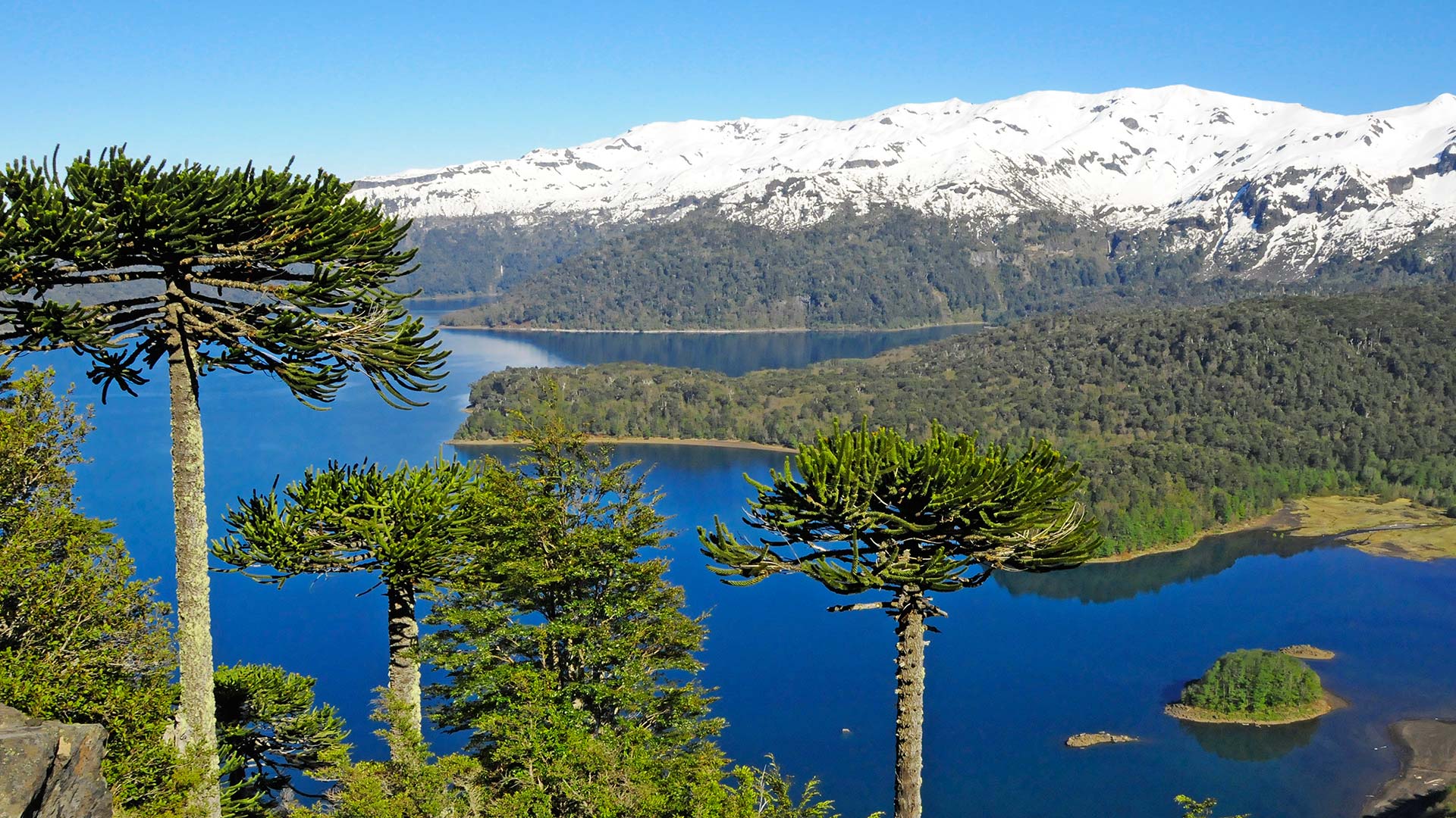 Parques nacionales en Chile: mejores para visitar en esta época
